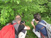 Salita da Fonteno al Monte Boario nel giorno della "Cavalcata tra Monti e Laghi" di Maurizio Agazzi il 6 giugno 2010 - FOTOGALLERY